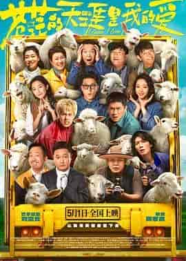 苍茫的天涯是我的爱