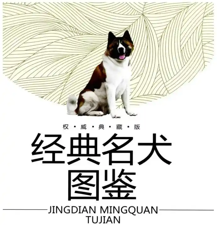 经典名犬图鉴 权威典藏版 经典图鉴系列