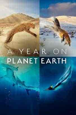 地球上的一年 A Year on Planet Earth