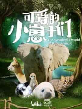 可爱的小崽子们 The Wonderful World of Baby Animals
