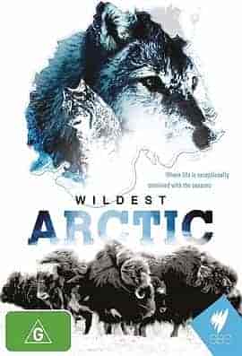 野性北极 Wildest Arctic