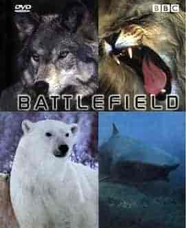 动物杀戮战场 Animal Battlefield
