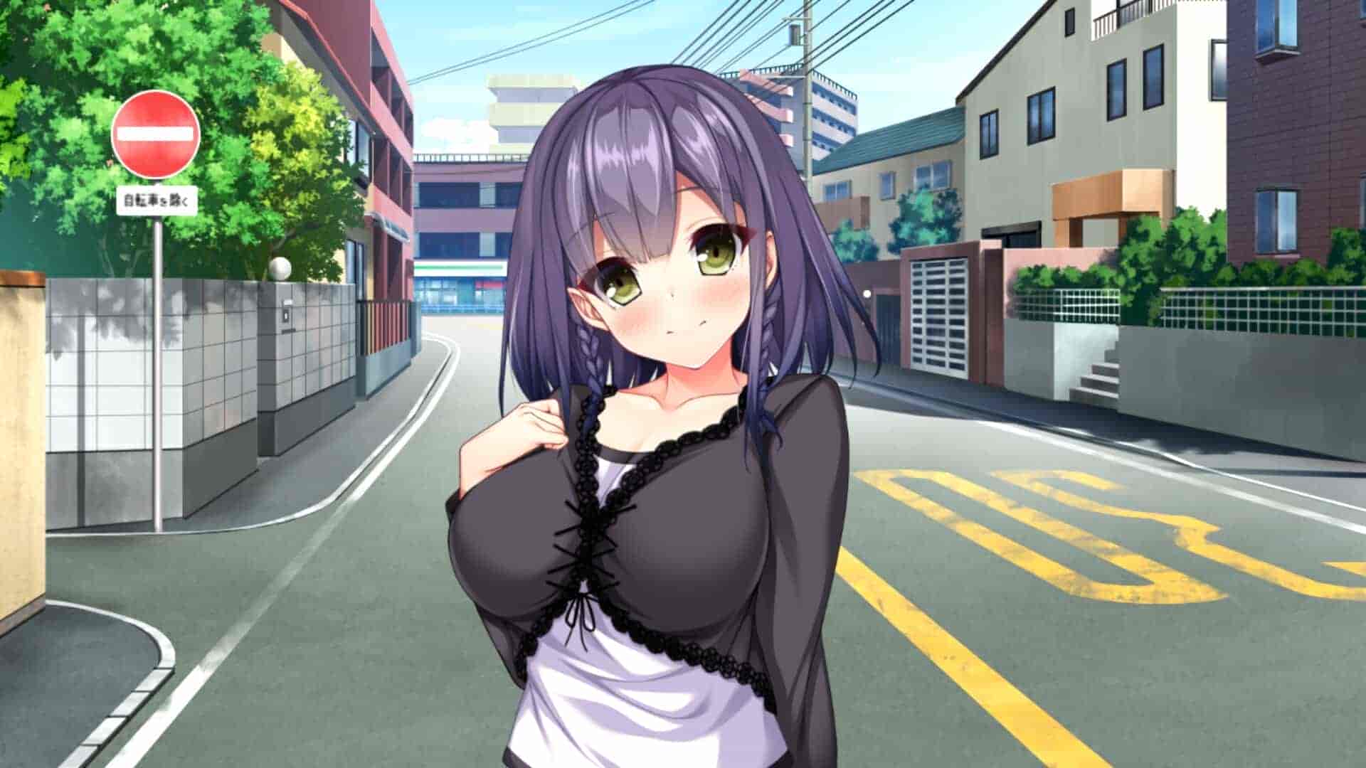    [PC]真实动漫情境体验！DT/Real Anime Situation! DT