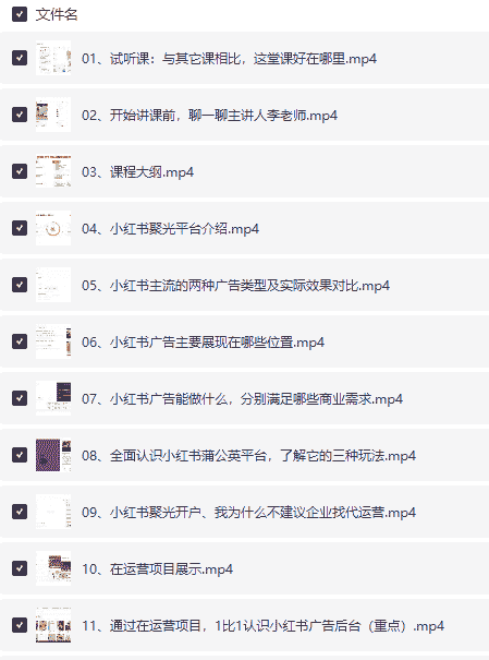 小红书聚光广告与乘风投放实战课，数据优化+抖音本地推全流程攻略【800M】