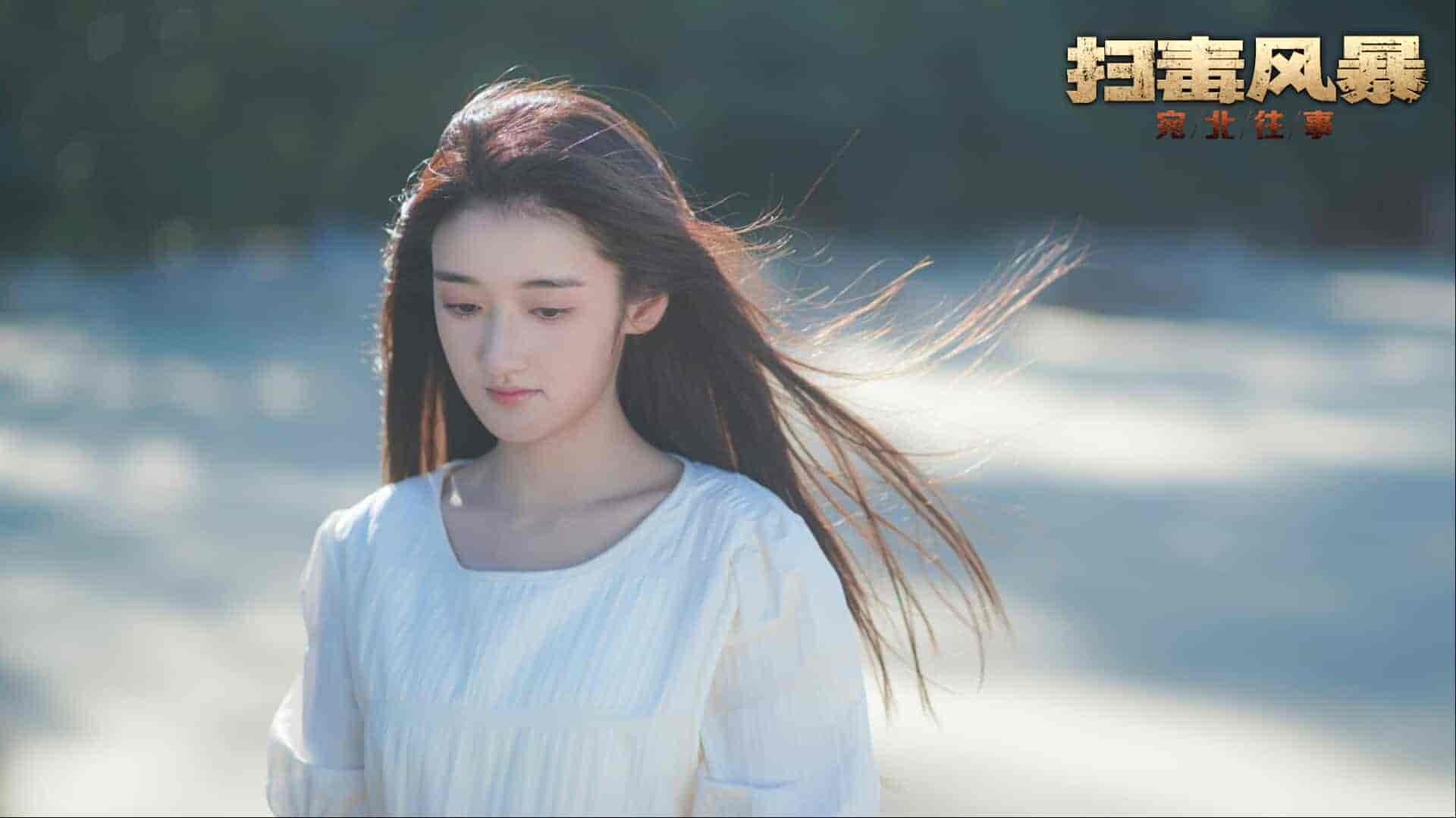 【PC游戏】扫毒风暴：宛北往事 Build.19524111（The Narcotic Operation）免安装中文版