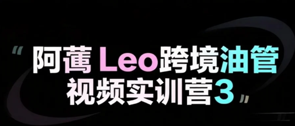 【课程】阿蔺Leo跨境油管视频实训营3 mp4 [3.4GB]