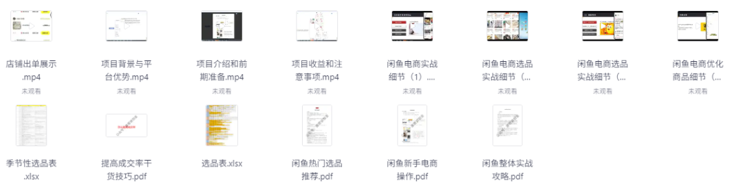 25年闲鱼电商小白高阶打法9.0 [1.1GB]